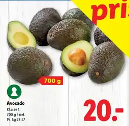 Lidl Avocado tilbud