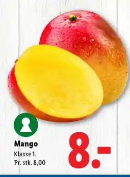 Lidl Mango tilbud