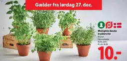 Lidl Økologiske danske krydderurter tilbud