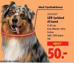 Lidl ZOOFARI® LED-lysbånd til hund tilbud