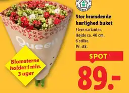 Lidl Stor brændende kærlighed buket tilbud