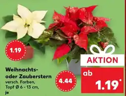 Kaufland DE Weihnachts- oder Zauberstern tilbud