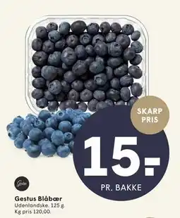 SPAR Gestus Blåbær tilbud