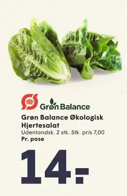 SPAR Grøn Balance Økologisk Hjertesalat tilbud