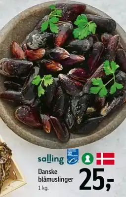 Føtex Danske blåmuslinger tilbud