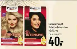 Føtex Schwarzkopf Palette Intensive hårfarve tilbud