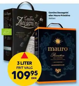 BorderShop Cantina Zaccagnini eller Mauro Primitivo tilbud
