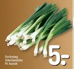 REMA 1000 Forårsløg Udenlandske Pr. bundt tilbud