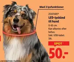 Lidl LED-lysbånd til hund tilbud