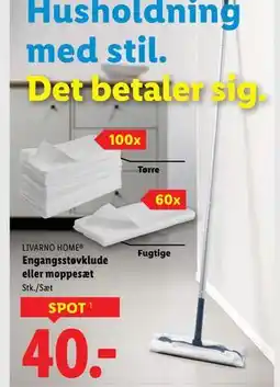 Lidl LIVARNO HOME Engangsstøvklude eller moppesæt tilbud