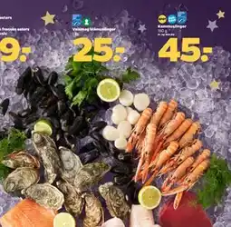 Netto Kammuslinger tilbud