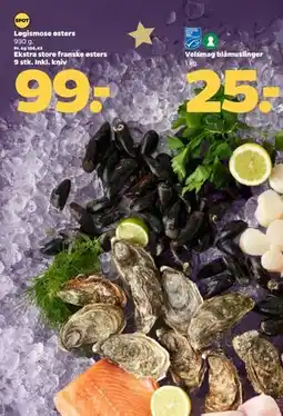 Netto Løgismose østers tilbud