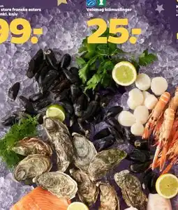 Netto Velsmag blåmuslinger tilbud