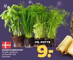 Netto Danske krydderurter tilbud