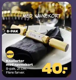 Netto Knallerter med navnekort tilbud