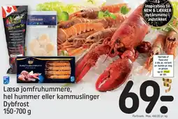 REMA 1000 Læsø jomfruhummere, hel hummer eller kammuslinger tilbud