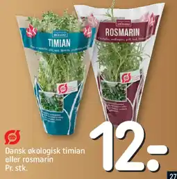 REMA 1000 Dansk økologisk timian eller rosmarin tilbud