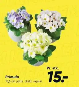 Bilka Primula tilbud