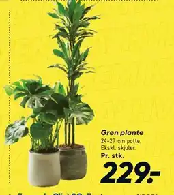 Bilka Grøn plante tilbud