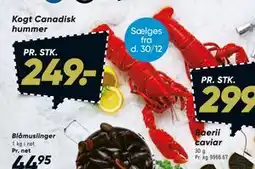 Bilka Kogt Canadisk hummer tilbud
