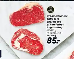 Bilka Sydamerikanske entrecote eller ribeye af kornfodret Angus kvæg tilbud