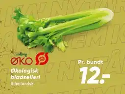 Bilka Økologisk bladselleri tilbud