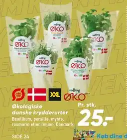 Bilka Økologiske danske krydderurter tilbud