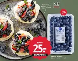 MENY GESTUS BLÅBÆR tilbud
