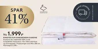 RINGSTED DUN SVINEDRENGEN DUNDYNE