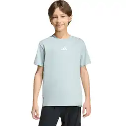 Sport 24 adidas Small Logo 2 T-shirt Børn tilbud