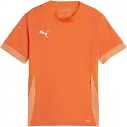 Sport 24 PUMA teamGOAL Matchday Trænings T-shirt Børn tilbud