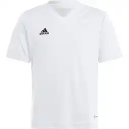 Sport 24 adidas Entrada 22 Trænings T-shirt Børn tilbud