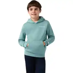 Sport 24 Champion Embroidered Small Logo Hættetrøje Børn tilbud