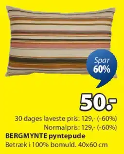 JYSK BERGMYNTE pyntepude tilbud