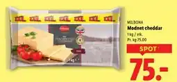 Lidl Modnet cheddar tilbud