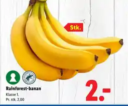 Lidl Rainforest-banan tilbud