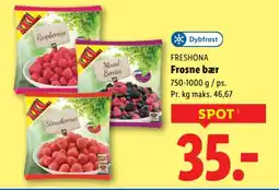 Lidl FRESHONA Frosne bær tilbud