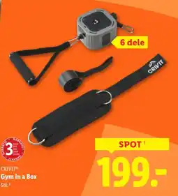 Lidl CRIVITⓇ Gym in a Box tilbud