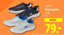 Lidl CRIVITⓇ Træningssko tilbud