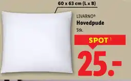 Lidl LIVARNOⓇ Hovedpude tilbud