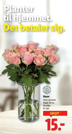 Lidl Roser tilbud