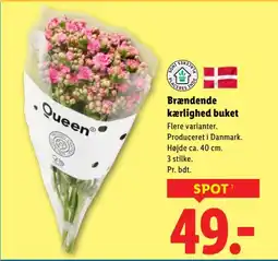 Lidl Brændende kærlighed buket tilbud