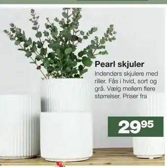 Pearl skjuler