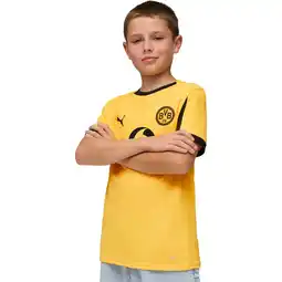 Sport 24 Borussia Dortmund Cup Trøje 25/26 Børn tilbud