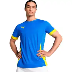 Sport 24 PUMA teamGOAL Matchday Trænings T-shirt Herre tilbud