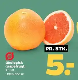 Netto Økologisk grapefrugt tilbud