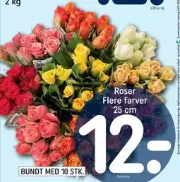REMA 1000 Roser Flere farver 25 cm tilbud