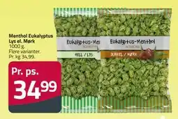 Fleggaard Menthol Eukalyptus Lys el. Mørk tilbud