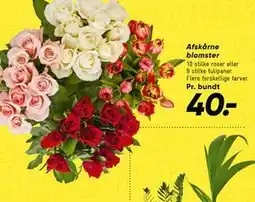 Bilka Afskårne blomster tilbud
