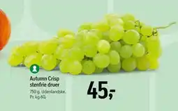 Føtex Autumn Crisp stenfrie druer tilbud
